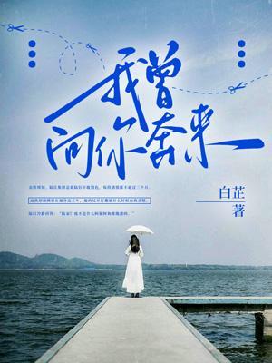 我向你奔赴而来是什么歌的歌词