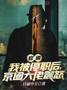 官道我被停职后京圈大佬震怒日丽中天