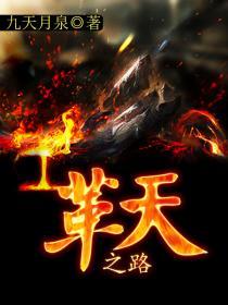 革命之路深度解析