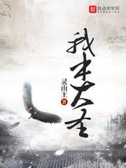 大圣道我本天地生成灵混仙花果山中一老猿