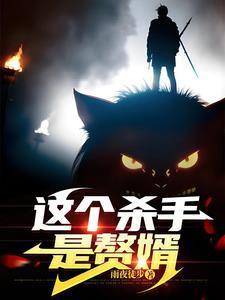 这个杀手是赘婿女主是谁