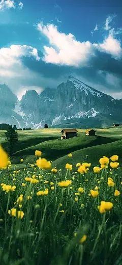 首富千金让我七夕转正大结局