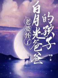 老婆怀了白月光爸爸的孩子免费阅读