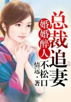 婚身解数总裁追妻太高调