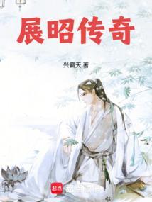 大宋神探录展昭传奇免费