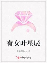 女主名叫叶星辰