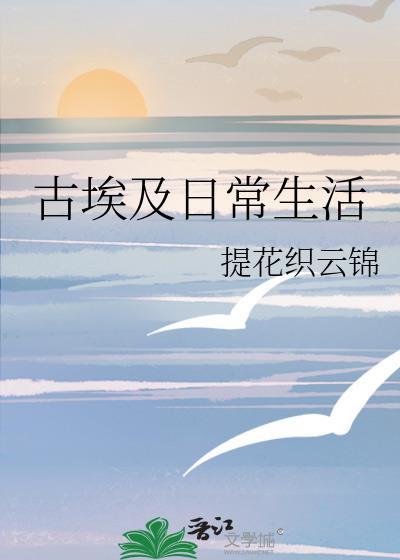 古埃及日常生活提花