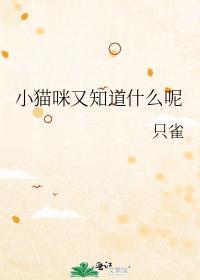 小猫咪有什么特点