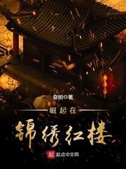 锦绣红楼董事长