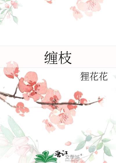 缠枝花纹