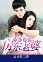 我的美女房东老婆在线观看