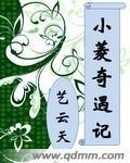 小奇奇遇记