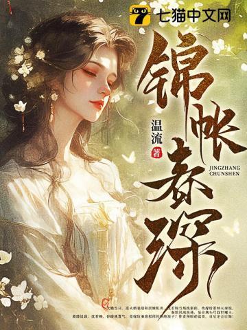 锦帐春深讲了什么故事