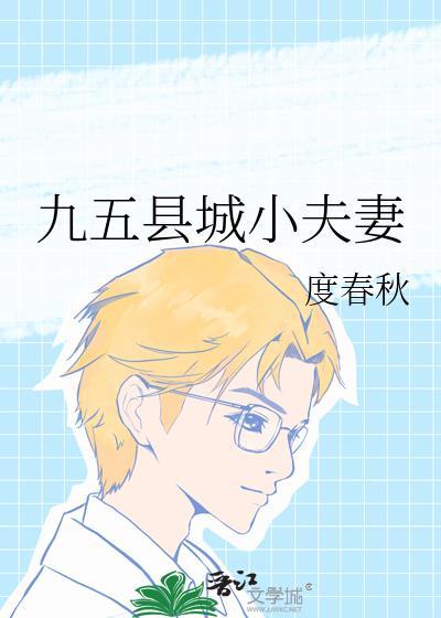 九五县城小夫妻大结局