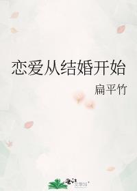 恋爱从结婚开始晋江