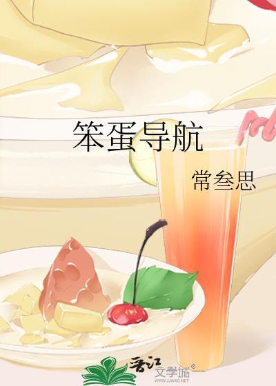 笨蛋导航by常叁思讲的什么