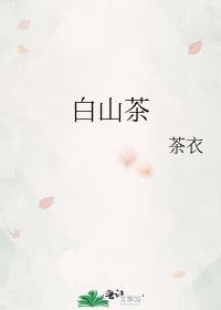 白山茶歌词完整版