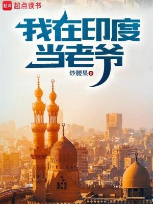 我在印度当老爷 txt