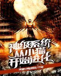 神级进化从野猫开始