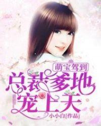 请投降免费阅读