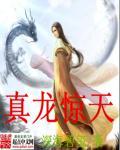 真龙天凤图片