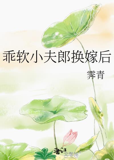 乖软小夫郎换嫁后笔趣阁最新章节更新时间