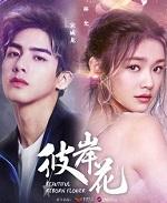 彼岸花by小花喵