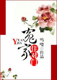 冤家住对门1-40集免费