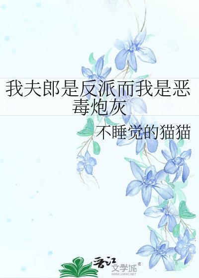 我夫郎是反派而我是恶毒炮灰免费阅读不