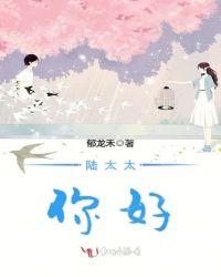 陆太太好久不见免费阅读全文
