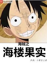 海贼之果实供应商