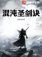 混沌剑圣百度百科