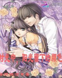 阳光留在了底片是什么歌