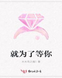 为了你我等了那么久什么歌