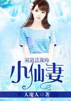 霸道总裁的小仙女