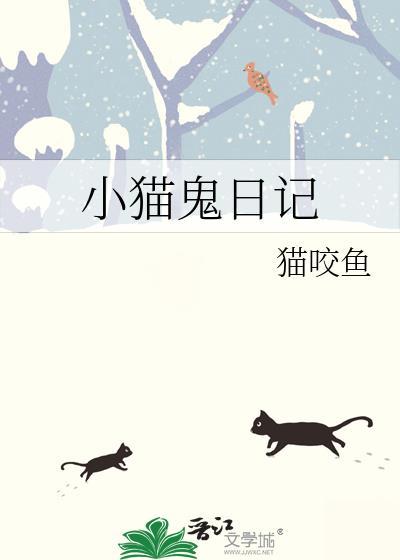 小猫猫日记的故事
