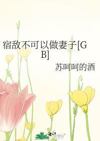 宿敌不可以做妻子百度