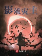 影流之主——劫