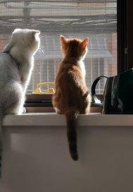 佛系岁月的女人朱芳莹