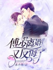 傅少离婚吧结局