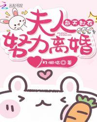 夫人每天都在想离婚