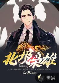 北境枭雄1-100集