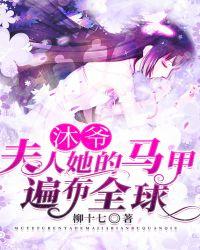 沐爷夫人她的马甲遍布全球全文免费阅读