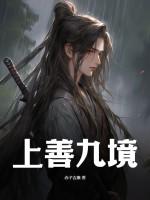 上善九境最简单解释