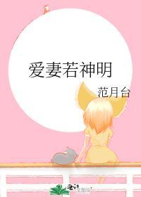 爱妻若神明笔趣阁