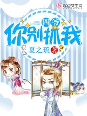 四爷乖别闹