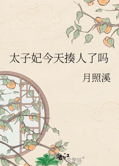 太子妃今天揍人了吗 作者月照溪