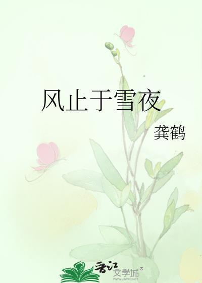 风止于雪夜全文TXT