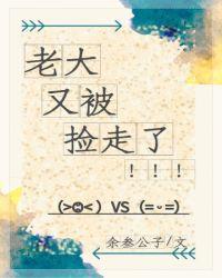 老大又被捡走了免费阅读