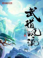 武道风流26攻略贴吧